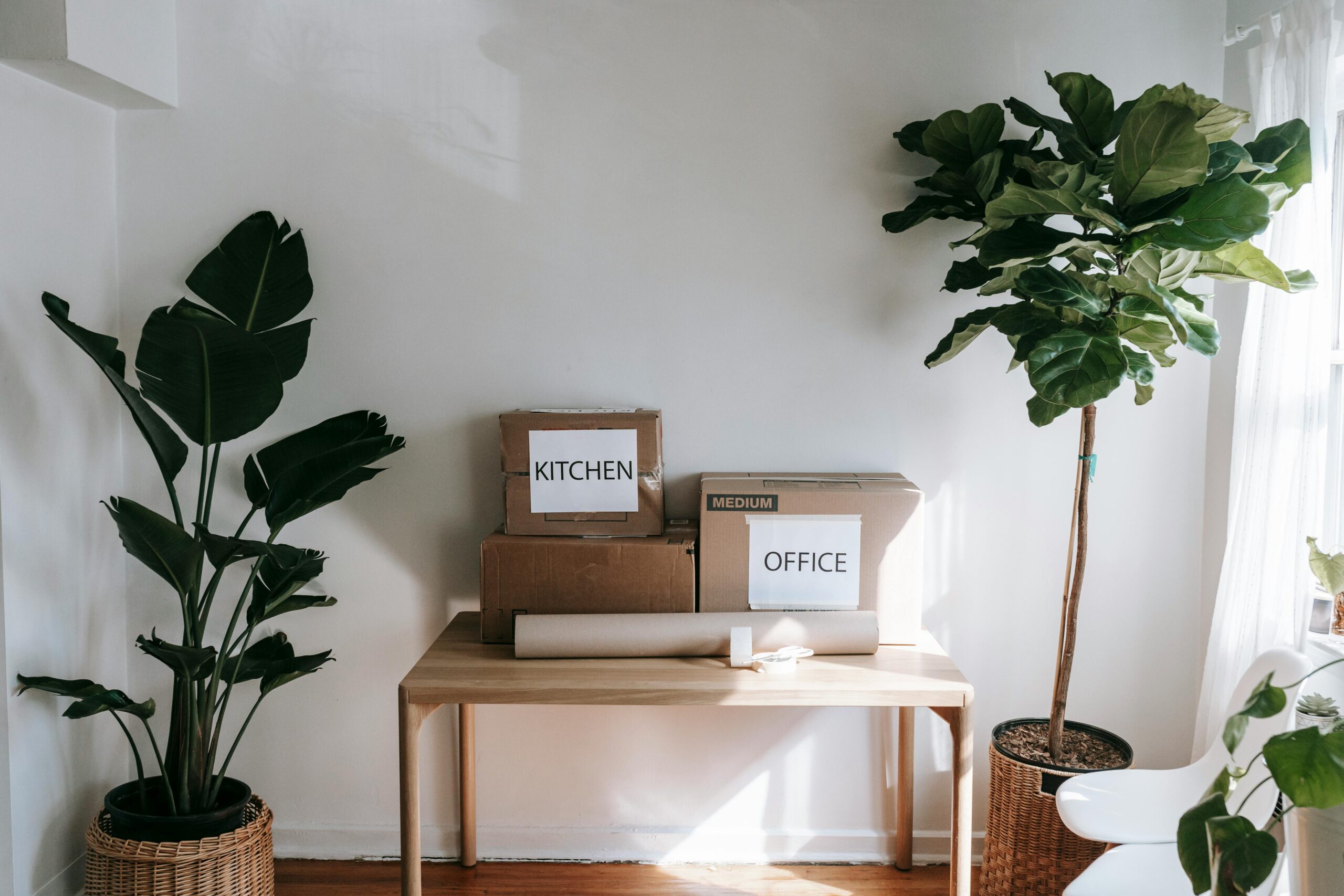 Stylish interior with moving boxes labeled 'Kitchen' and 'Office' on a wooden table surrounded by houseplants.